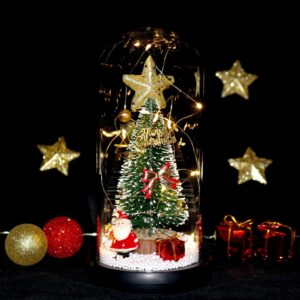 Enchanted Christmas Tree Christmas Gift